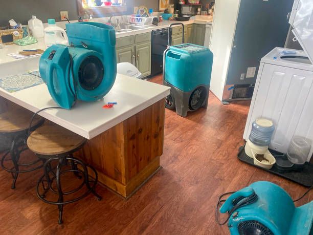 Best 24/7 water damage repair  in Hermosa Beach, CA
