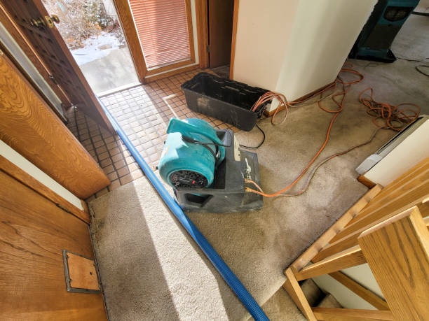 Best 24/7 water damage repair  in Hermosa Beach, CA