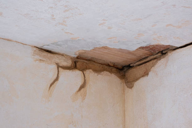 Best Water damage restoration near me  in Hermosa Beach, CA