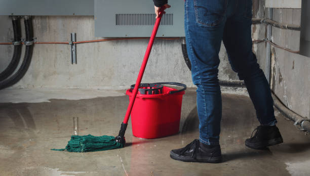 Best Residential water damage restoration  in Hermosa Beach, CA